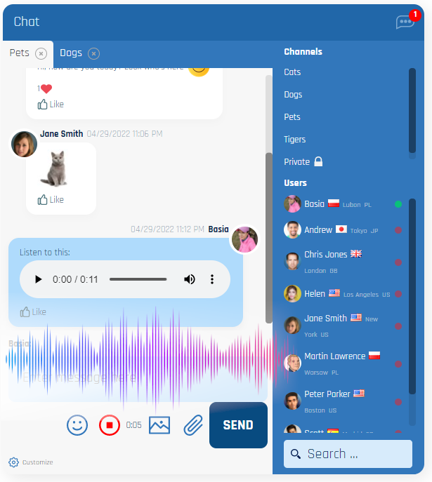 voice messages in Wise Chat pro